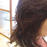 img_06491