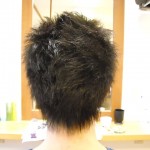 dscn0684